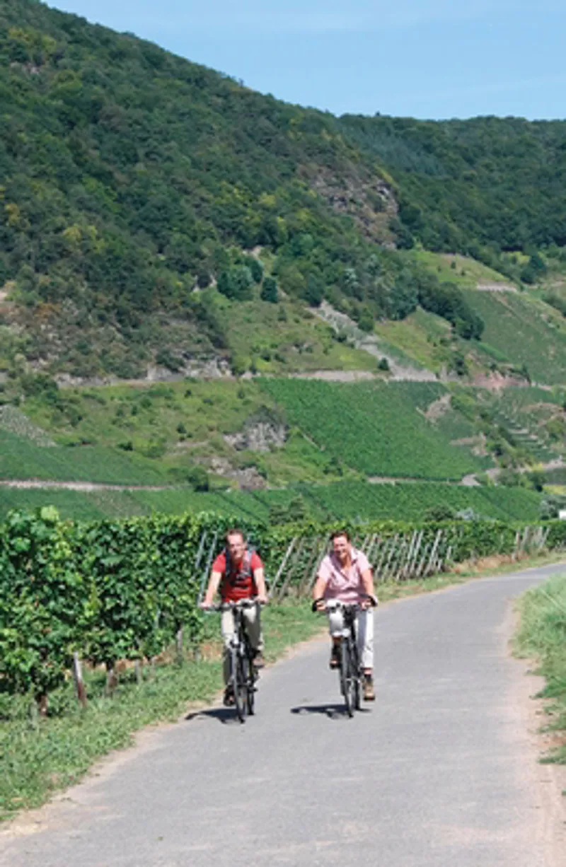 Cicerone - The Moselle Cycle Route - Mike Wells-4